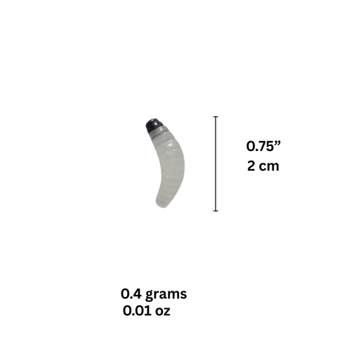Fizmo CurlGrub Micro 1" (20 Pcs)